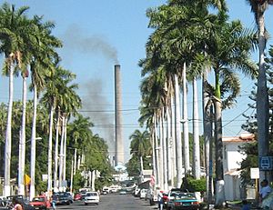 View of a Zacatepec de Hidalgo street lined with palm trees, with the sugar mill in the distance