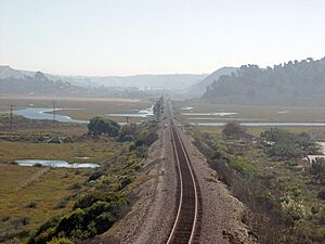 111011 TPSR LPL tracks from high bridge far no railing AUT 025