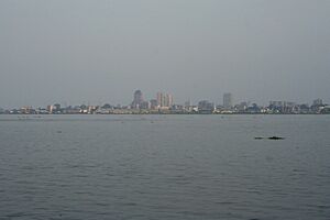 2010-03-07-Kinshasa depuis Brazzaville