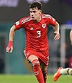 2022 FIFA World Cup United States 1–1 Wales - (24) (cropped)