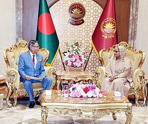 2024-01-10 Prime Minister Sheikh Hasina meets President Md Sahabuddin at Bangabhaban (PID-0011442)