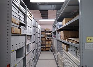 APAC Archive.jpg