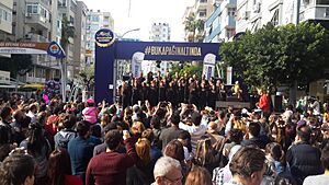 A concert during the Orange Blossom Carnival 2015