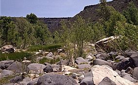 A photo showing rocks and trees along the Agua Fria River