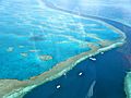 Amazing Great Barrier Reef 1