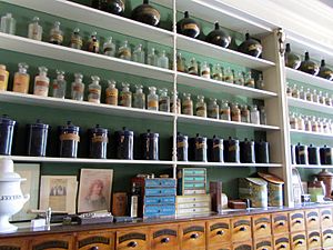 Ancient Apothecary Organized Shelves (10157050846)