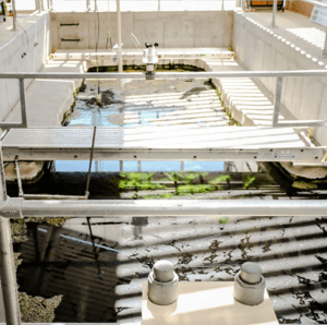 Ash meadows fish conservation facility devils hole pupfish tank