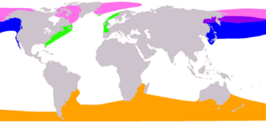 Balaenidae range map
