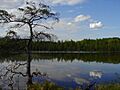 BemidjiStatePark-HiddenLake