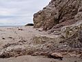 Brion Island 06