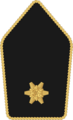 Bundesheer - Rank insignia - Leutnant