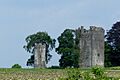 Burnchurch Castle ruins