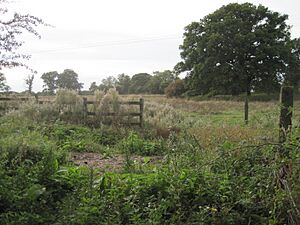 Caldecote Meadows 3