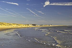 Camber Sands - geograph.org.uk - 659206