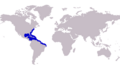 Carangoides bartholomaei distribution