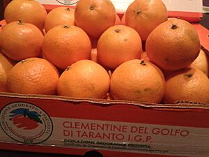 Clementine del golfo di Taranto IGP