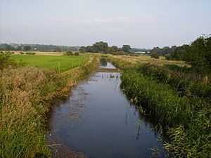 Costa Beck looking ENE from the footbridge - geograph.org.uk - 241254