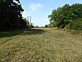 Cribb's Meadow 5