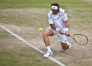 David Ferrer - 2011 Wimbledon(2)