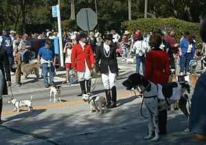 Dog Parade in Deland