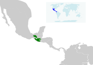 Ergaticus versicolor map.svg