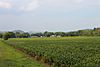Field in Wolf Township, Lycoming County, Pennsylvania 3.JPG