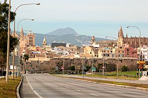 Galatzó vist per damunt La Calatrava