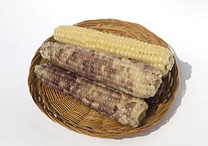 Glutinous corn