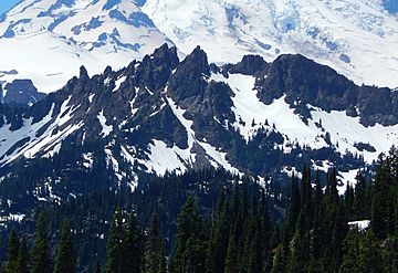 Governors Ridge at Mount Rainier.jpg