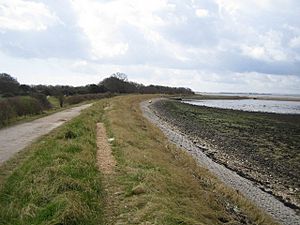 Hayling Island, Langstone Harbour and The Hayling Billy Trail - geograph.org.uk - 148286.jpg