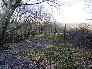 Heathfield Park SSSI (3)