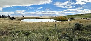Hills Creek, Central Otago