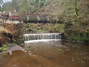 Horseshoe Falls, Calderglen - geograph.org.uk - 96546