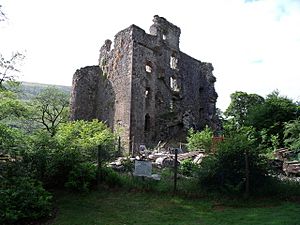 Invergarry Old Castle - geograph.org.uk - 1515750