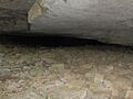 Jackson-cave-entrance-col-tn1