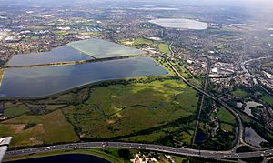 King George VI Staines and Queen Mary Reservoirs 2011 aerial.jpg