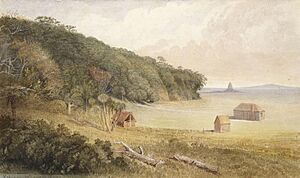 Kotanui Whangaparaoa (1868)