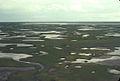 Kuskokwim Delta Wetlands - Aerial View