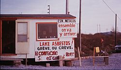 Lake Asbestos. Grève in spring 1975