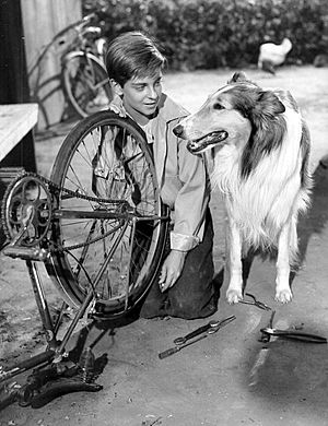 Lassie and Tommy Rettig 1956.JPG