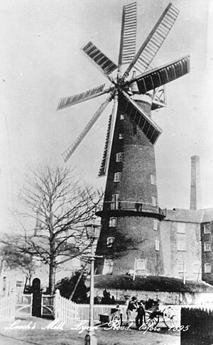 Leach's Mill, Wisbech 1895