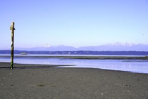 Low tide on Whidbey Island