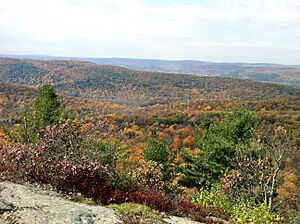 Macedonia State Park's Cobble Mountain summit with Catskill Mountains in background