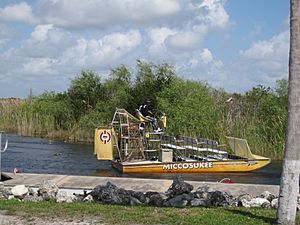 Miccosukee airboat tour