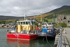 Mussel dredgers at Carlingford harbour - geograph.org.uk - 174327