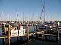 Naples City Dock1