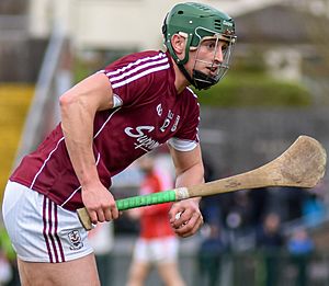 Niall Burke cropped.jpg