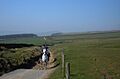 Pennine Bridleway, Rushop - geograph.org.uk - 379120