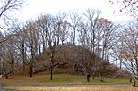 Pinson-mounds-sauls-mound.jpg