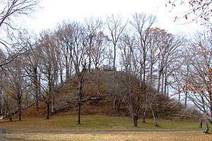Pinson-mounds-sauls-mound.jpg